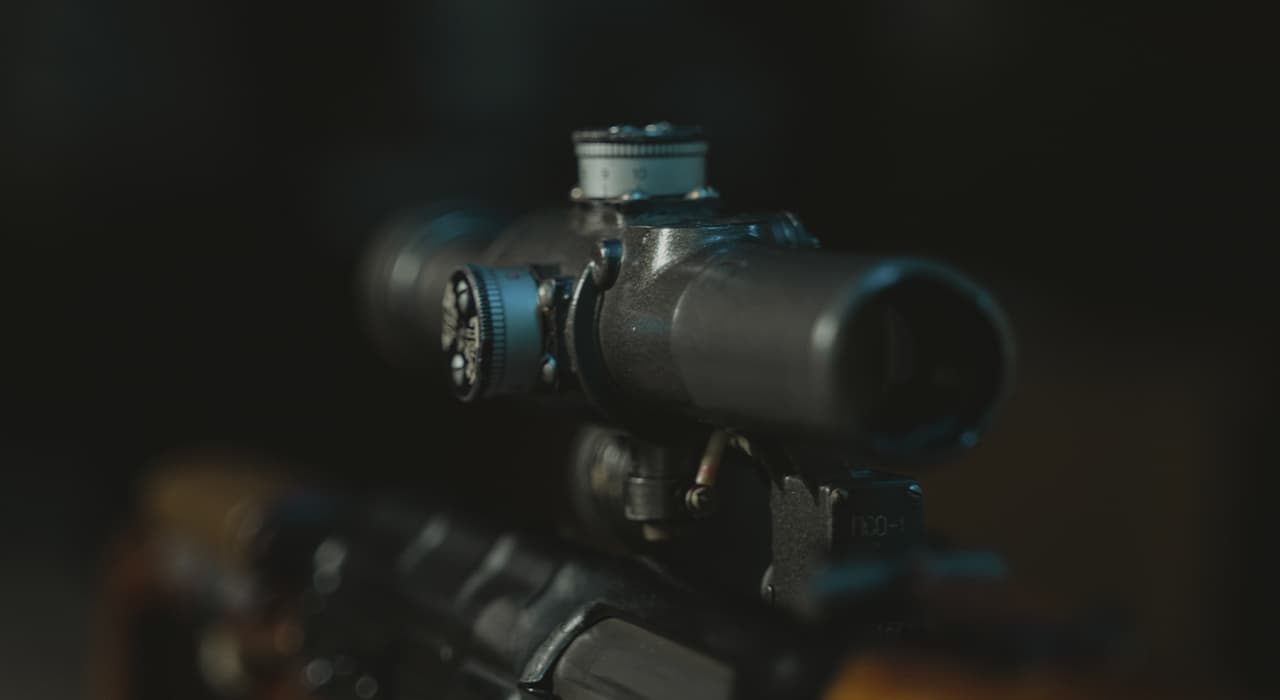 sight
