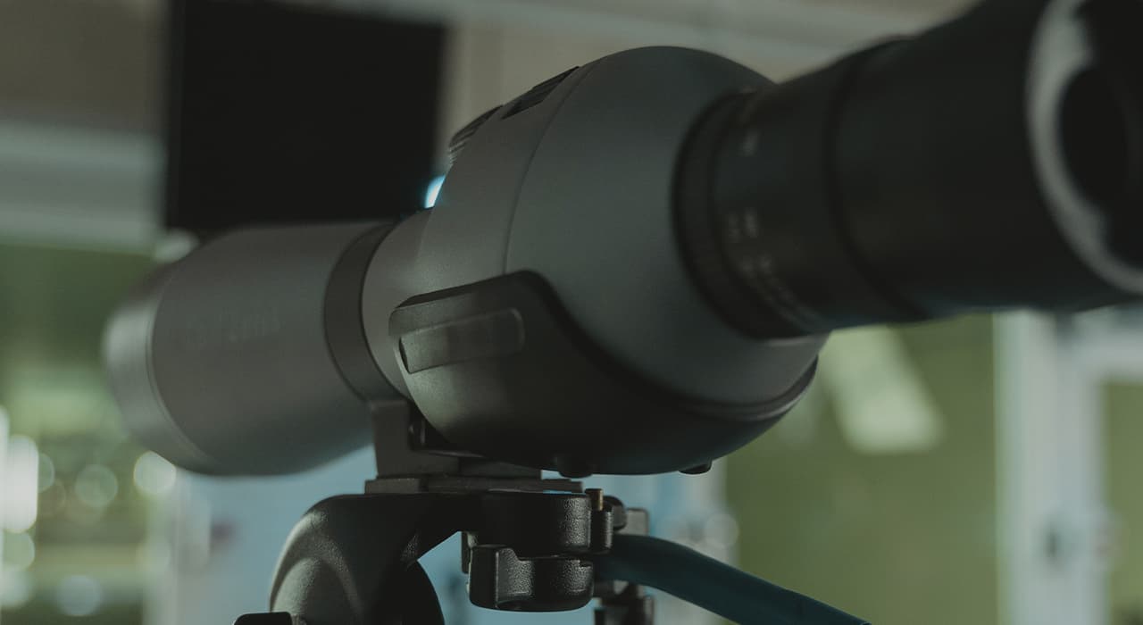 sight