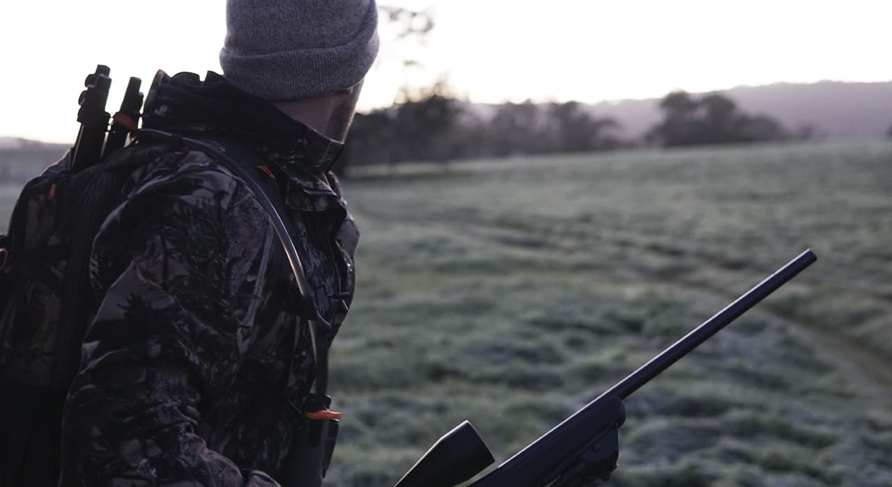 Types of sights for driven hunting